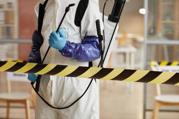 Professional Sewage Cleanup technician working in Albion, PA